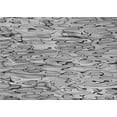 thumbnail image 1 of Ahgly Company Tapis Rectangulaire Lavable en Machine Intérieur Transitionnel Gris Argenté, 5 Pieds x 7 Pieds, 1 of 7