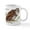 White, variant on CafePress - Barred Owl Mug - 11 oz Ceramic Mug - Novelty Coffee Tea Cup