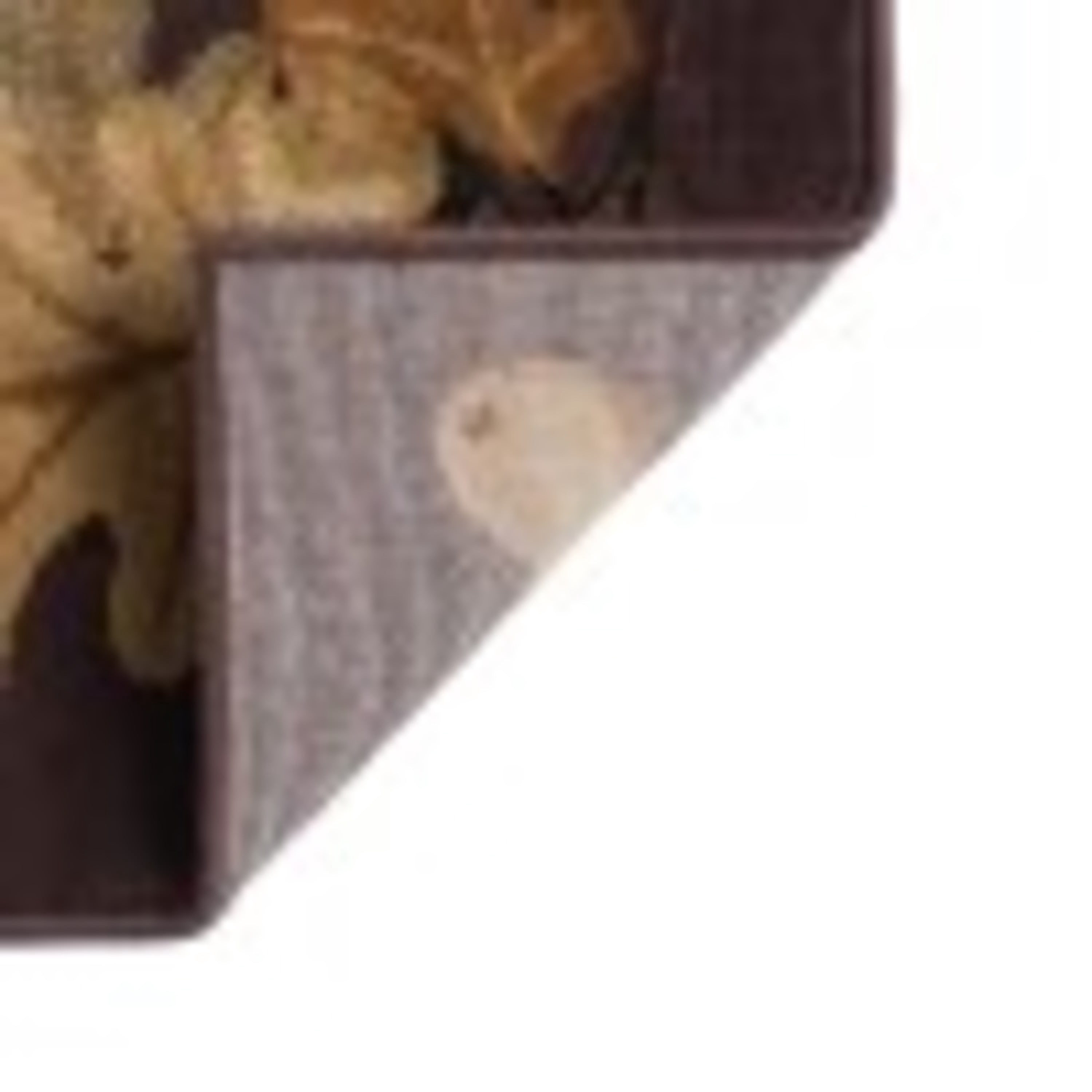 Nature Novelty 2' x 3' Brown and Beige Polypropylene Indoor Area Rug