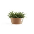 thumbnail image 4 of Ecopots 11.8" x 11.8" x 5.9" Round Terracotta Plastic Flower Pot with Drainage Holes, 4 of 4