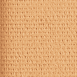 310 Nude Beige