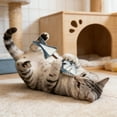 thumbnail image 4 of Pet Toys Health Support for Cats Wood Stick Natural Fishbone Feline Routine, 4 of 4