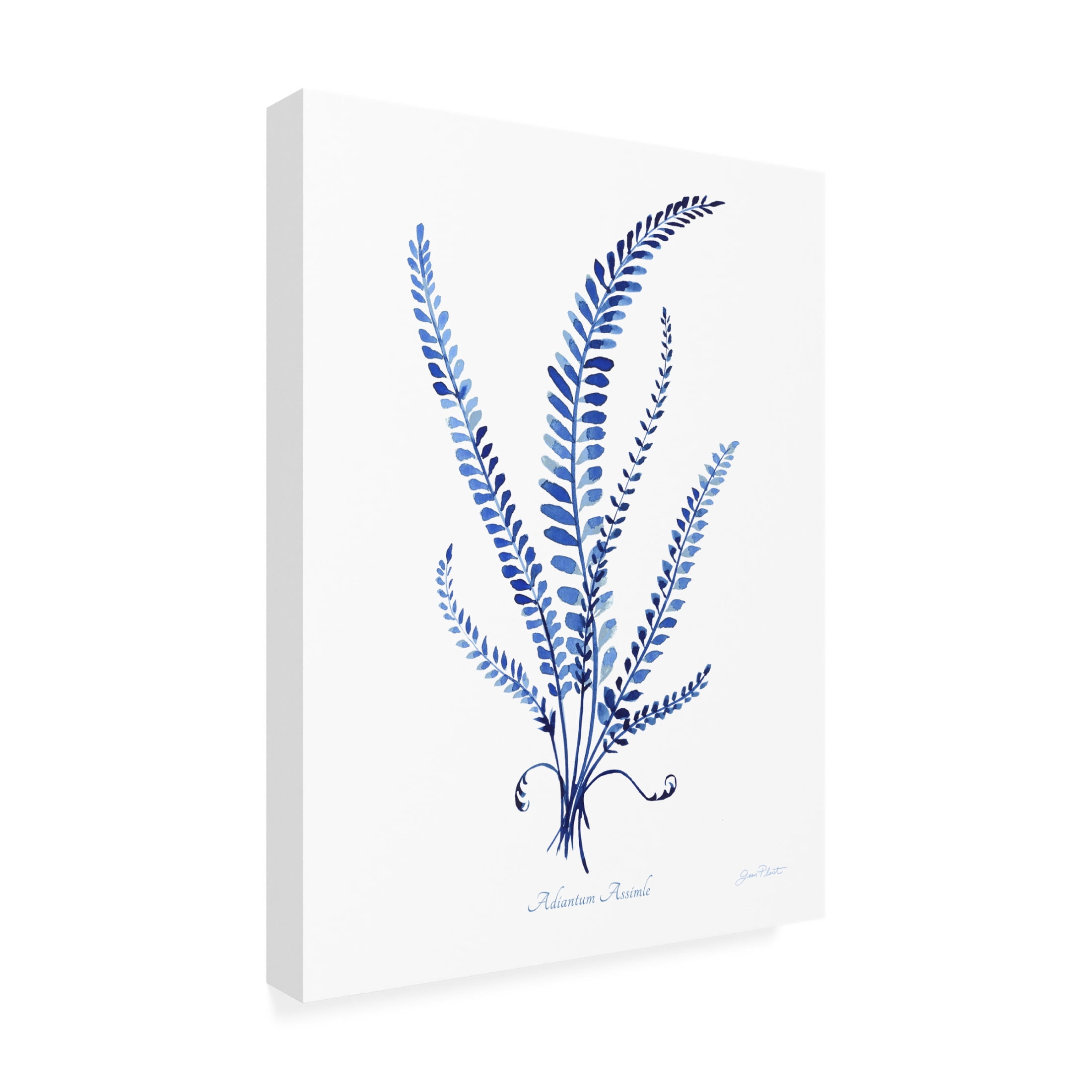 Canvas Wall Art - Jean Plout 'Indigo Botanical 5' Wall Art for Living Room, Bedroom, or Office Décor by Trademark Fine Art - 18 x 24 Inches