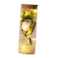 thumbnail image 3 of Flor preservada con cadena de luz Flor eterna para siempre Romántica Estilo C, 3 of 9