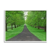 Stupell Industries Tree Grove Path Landscape Nature Photography White Framed Art Print Wall Art, 14 x 11