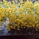 thumbnail image 1 of 10 ramo de flores artificiales para aliento de bebé, Gypsophila, flor a granel en blanco para corona de boda, decoración del hogar, fiesta, jardín, amarillo-amarillo- Sincero Electrónica, 1 of 5
