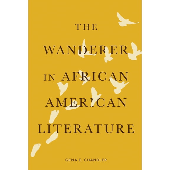 The Wanderer in African American Literature, (Hardcover)