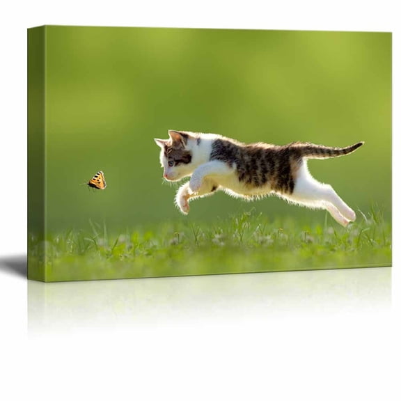wall26 - Canvas Wall Art - A Kitty Chasing a Butterfly - Giclee Print Gallery Wrap Modern Home Art Ready to Hang - 24" x 36"