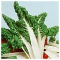 thumbnail image 2 of Everwilde Farms - 1 lb Organic Fordhook Giant Swiss Chard Seeds - Gold Vault Bulk Seed Packet, 2 of 3