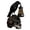 Black#0710-186, variant on Crow Lamp Halloween Night Light Gothic Resin Skull Bird Statue for Bedroom Bookshelf Glow in Dark Decor for Spooky Ambiance 5.1 x 6.7 Inches