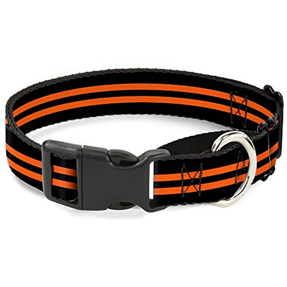 buckle-down stripe black orange martingale dog collar