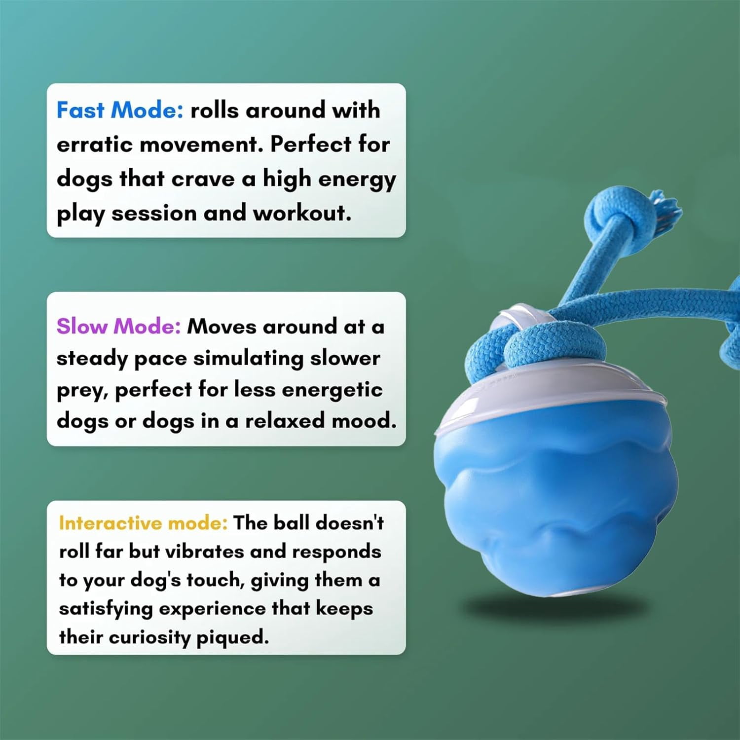 2026 New Interactive Smart Rolling Pet Ball – Motion-Activated Squeaky Chase Toy for Small, Medium & Large Dogs