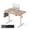 Maple, variant on DESINO 55x28 inch Electric Standing Desk, Height Adjustable Sit Stand Desk with Memory Presets, Ergonomic Home Office Computer Desk with Anti-Collision, Black