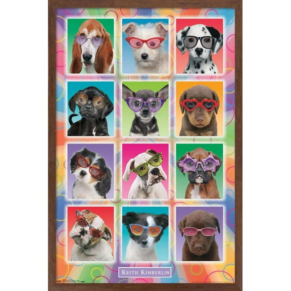 Keith Kimberlin - Puppies - Sunglasses Wall Poster, 14.725" x 22.375", Framed