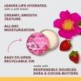 thumbnail image 2 of Burt's Bees 100% Natural Origin Lip Butter With Moisturizing Shea And Cocoa Butters, Wild Rose and Berry, 1 Tin In Blister Box, 2 of 8