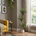 thumbnail image 1 of Planta artificial decorativa moderna con maceta Dracaena Palo de Brasil de 140cm de alto Artego para hogar sala comercio oficina, 1 of 8