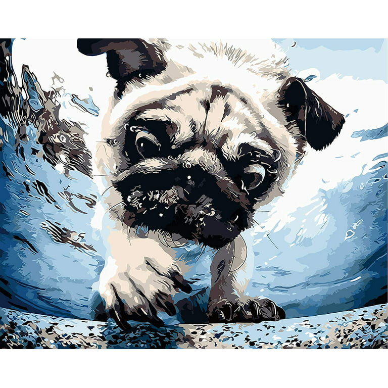 Paint by Numbers for Adults - Underwater Dogs Artist Photo Series Paint by  Number Kit with Acrylic Paints, Brushes Canvas - Beginner DIY Painting by  Numbers for Adults and Kids 