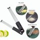 thumbnail image 3 of Stainless Steel Cheese Grater with Long Handle, Kitchen Citrus Zester for Lemon Parmesan Vegetables, 3 of 5