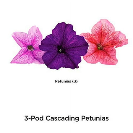 AeroGarden - Cascading Petunias (3-Pod) - Multi