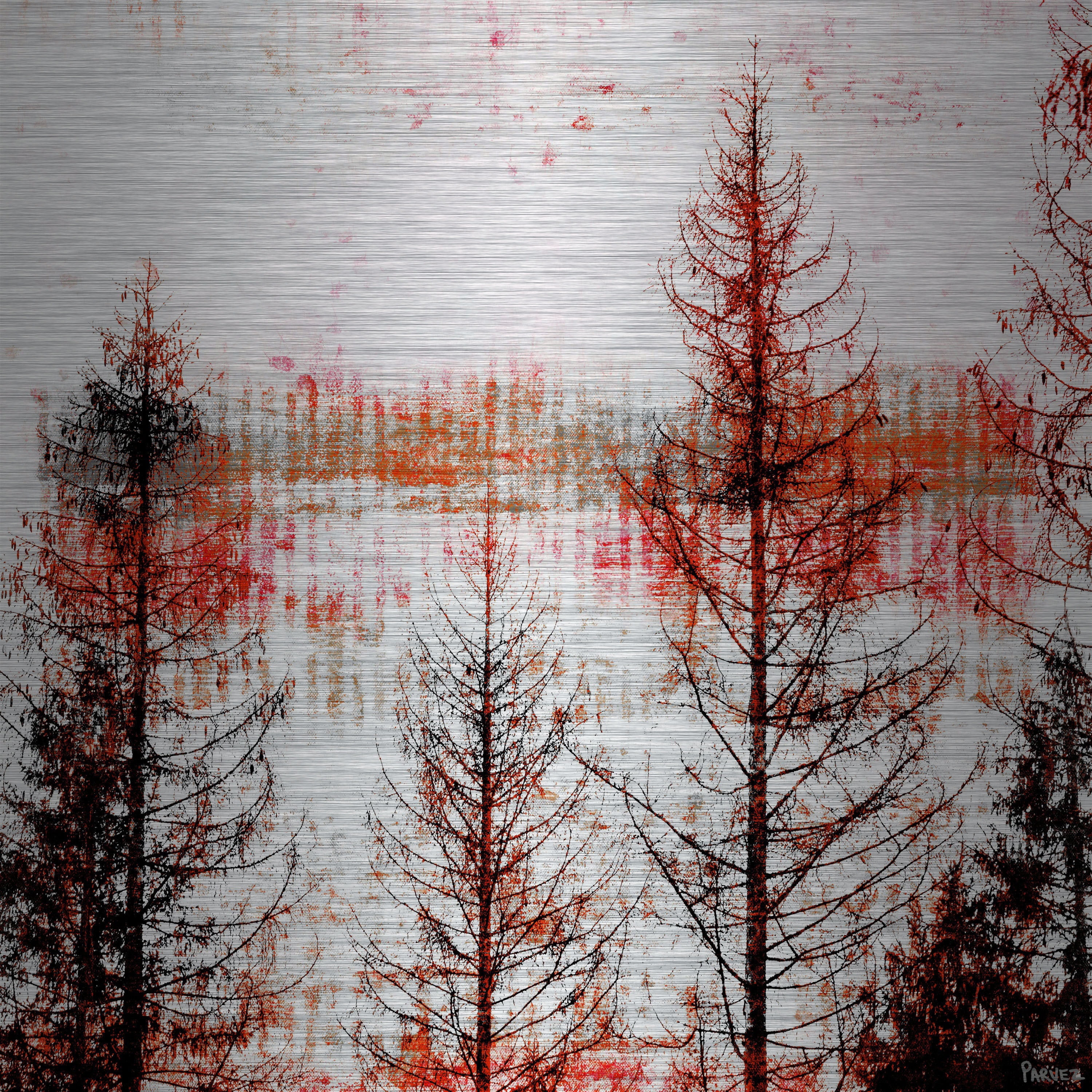 Parvez Taj Pt-Wnpw-105-Al-32 32" x 32" "Orange Hue" Art Print On Aluminium