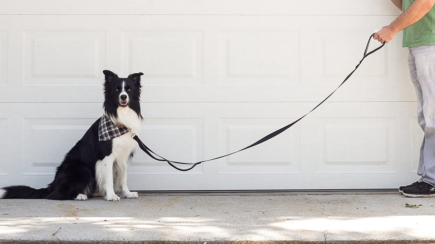 Leashboss 3X - Two Handle Dog Leash with Extra Traffic Handle - Heavy Duty Double Padded Handle Lead for Walking and Training Large Dogs