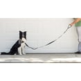 thumbnail image 6 of Leashboss 3X - Two Handle Dog Leash with Extra Traffic Handle - Heavy Duty Double Padded Handle Lead for Walking and Training Large Dogs, 6 of 6