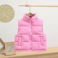 thumbnail image 2 of Pink Baby Kids Girl Boy Sleeveless Vest Down Jackets Outfit for Child Collared Neck Cami Tank Warm Thick Fall Winter Vest Zip Up 2025 Soft Comfy Clothing Fashion 13 Years, 2 of 9