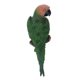 thumbnail image 2 of 20 tipos de figuras de loros grandes de resina, juguetes para niños y hogar. 31cm Mirada Derecha Verde, 2 of 9