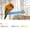 White, variant on Bird Perch Stand with Grinding Surface Colorful Parrot Perch for Cage Mount and Nail Trimming