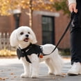 thumbnail image 4 of Cat Harness and Leash with Bat Wings, Escape Proof Cat Harness,Halloween Costumes, 4 of 5
