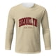 thumbnail image 2 of Playeras Interiores Para Hombre, Camisetas Gráficas Para Hombre, Camisetas Con Estampado De Letras, Camisetas De Otoño, Camisetas Casuales Holgadas De Manga Larga Vintage, Ropa, 2 of 4