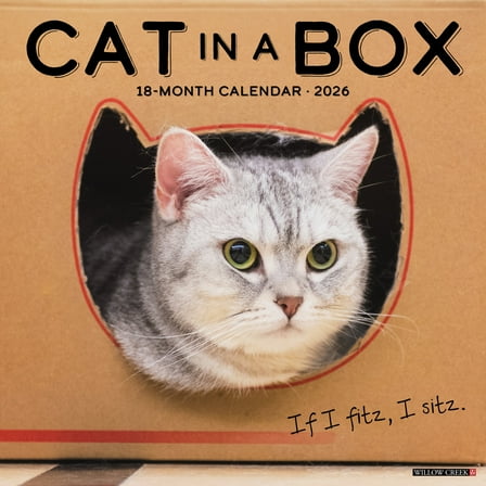 Cat in a Box 2026 Wall Calendar