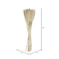 thumbnail image 3 of Vickerman Natural Botanicals 24" Babala Bleached. Includes 50 pieces per unit., 3 of 5