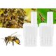 thumbnail image 2 of 20 piezas jaulas de abeja reina blanca, receptor de apicultura, Clip aislante de abeja de plástico, herramientas de cría de apicultor para interior, hogar y exterior, 2 of 4