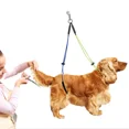 thumbnail image 4 of Adjustable Pet Grooming Leash For Grooming Table Fixing Comfortable Steel For Pe, 4 of 5