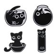 thumbnail image 1 of 4-6 Unids Set Gato Pato Esmalte Alfileres Botella Taza Texto Citas Broche Anime Street Fighter Pin Solapa Insignias Joyería Regalos Para Amigos, 1 of 4