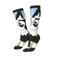 thumbnail image 2 of Saiise Bluey Funny Socks Men Women Boys Kids Adults Novelty Graphic Crew Tube Socks Crazy Design Casual Dress Socks for Sports,Running,Travel, 2 of 7
