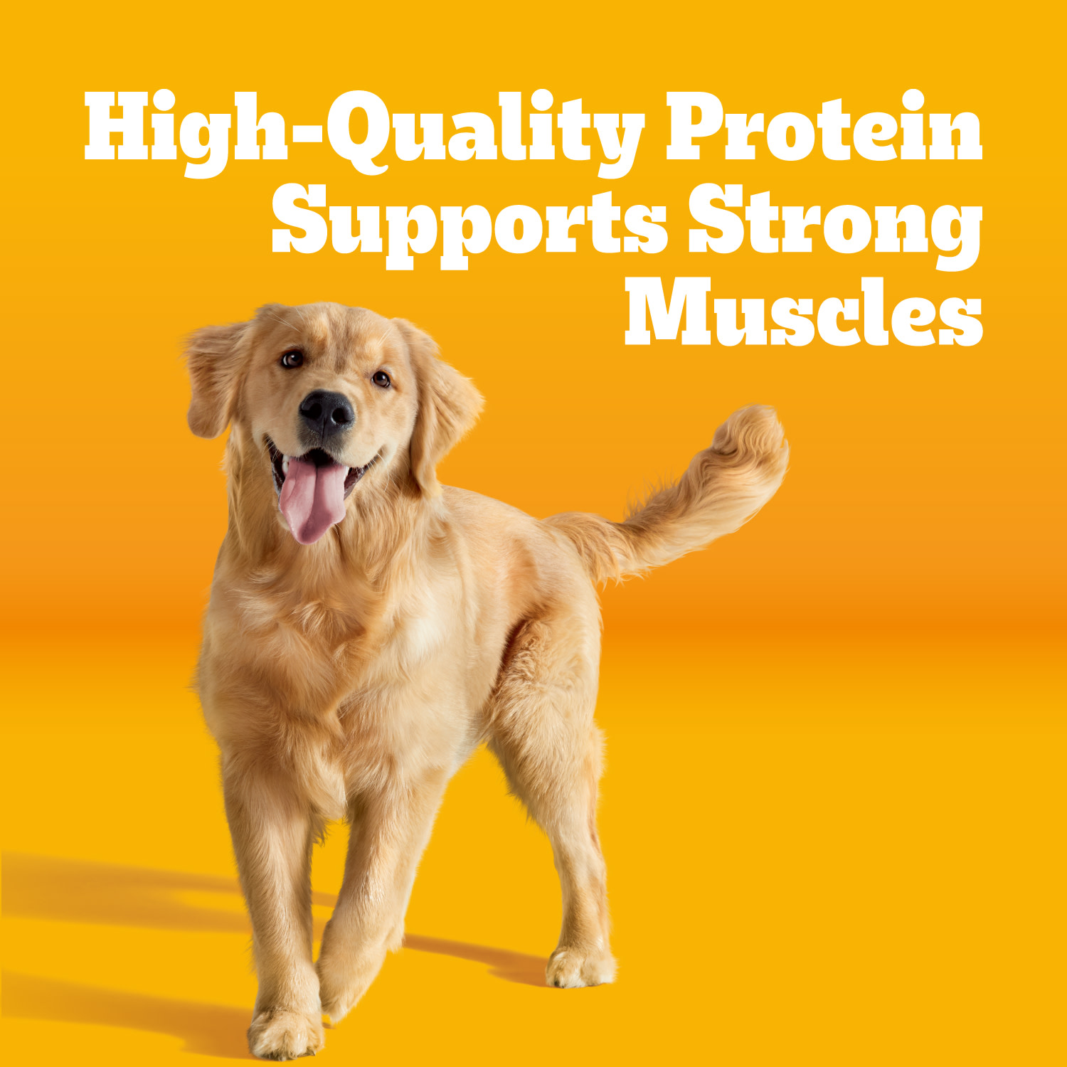 Pedigree High Protein Roasted Chicken & Vegetable Dog Food photo 8