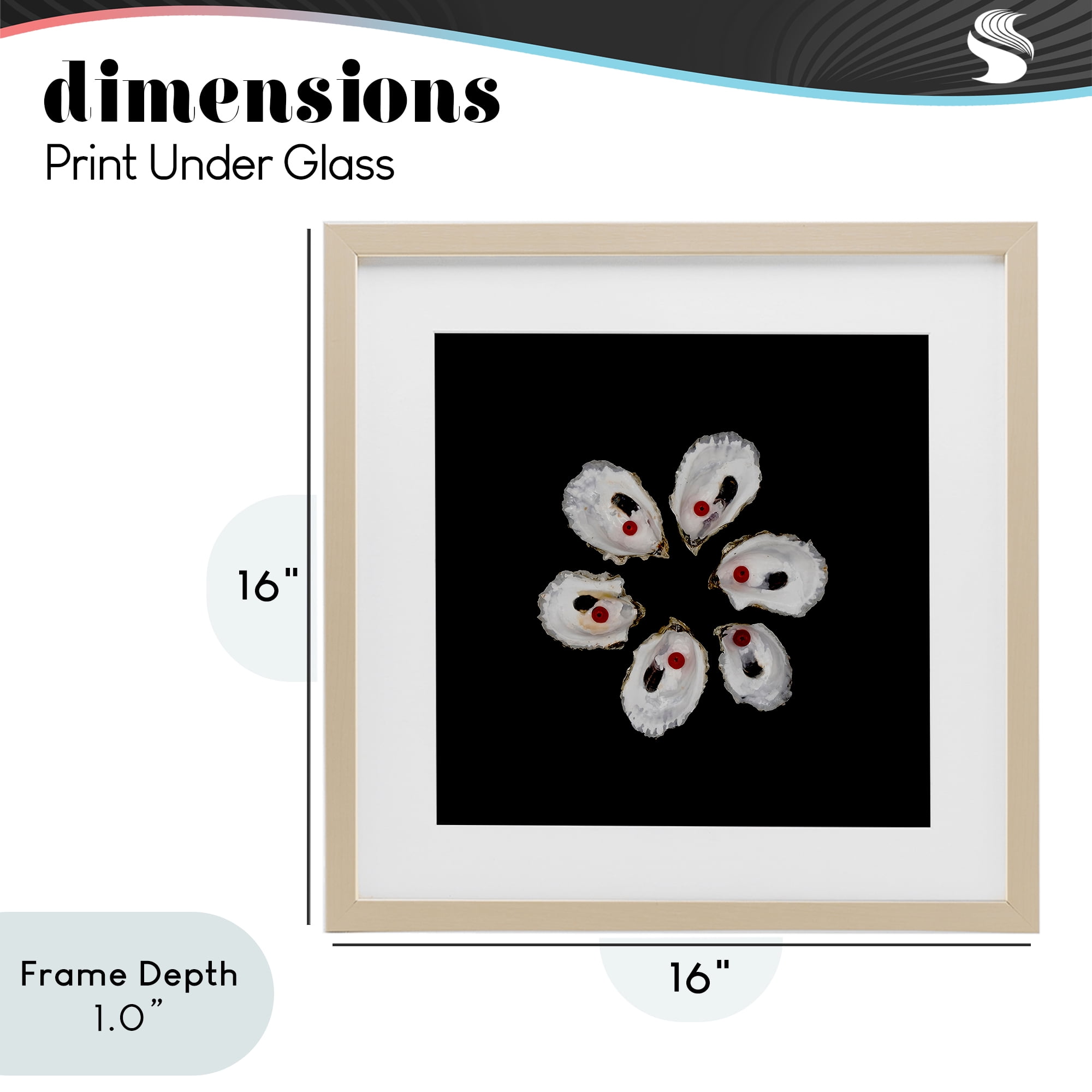 Stupell Industries Oyster Shells Symmetry Birch Framed Print Under Glass, design by Beth Adoette