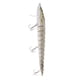 thumbnail image 4 of Señuelo de pesca articulado múltiple de 9 "Crank Minnow Swimbait Life Like Bass Pike 02 kusrkot Señuelo de pesca multi articulado, 4 of 7