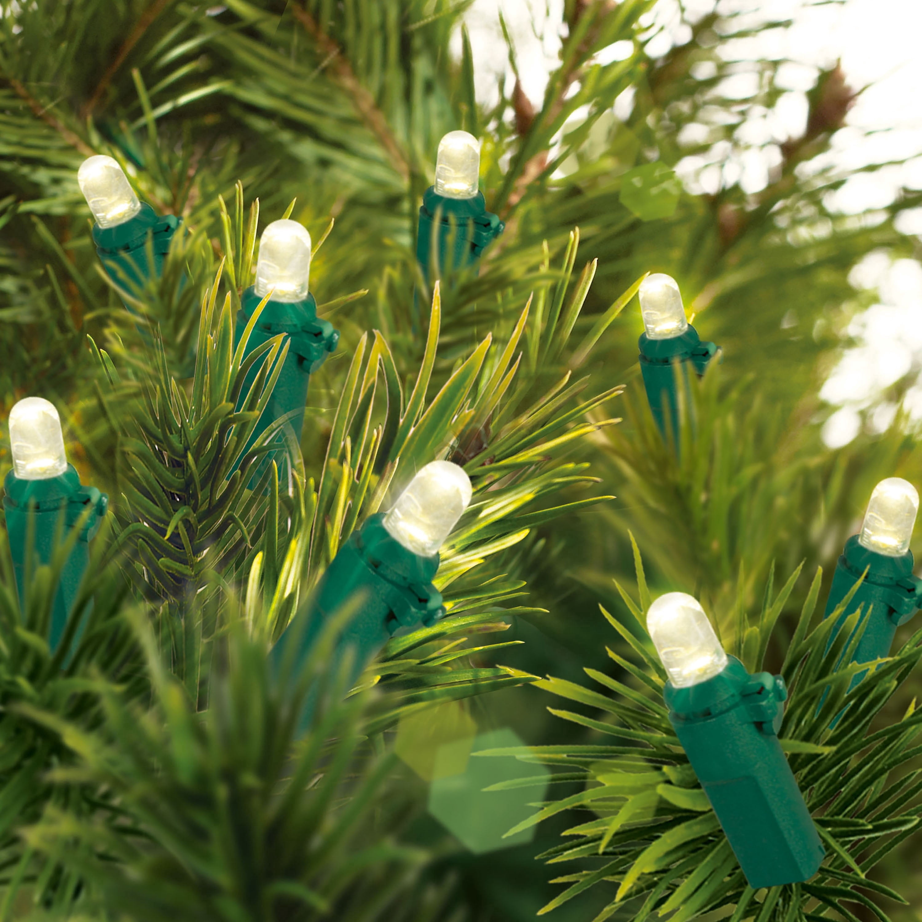 Indoor 20-Count Battery-Operated LED Dome Christmas String Lights, Warm White, Green Wire, 6.5', by Holiday Time
