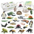 thumbnail image 1 of Bisofice Life Cycle Learning and Education Montessori Toys Preschool Education Animal Models Frog Butterfly Chicken Penguin Bee Turtle 25-Piece Craft Model Set Suitable for Preschool Science Ages 3+, 1 of 8