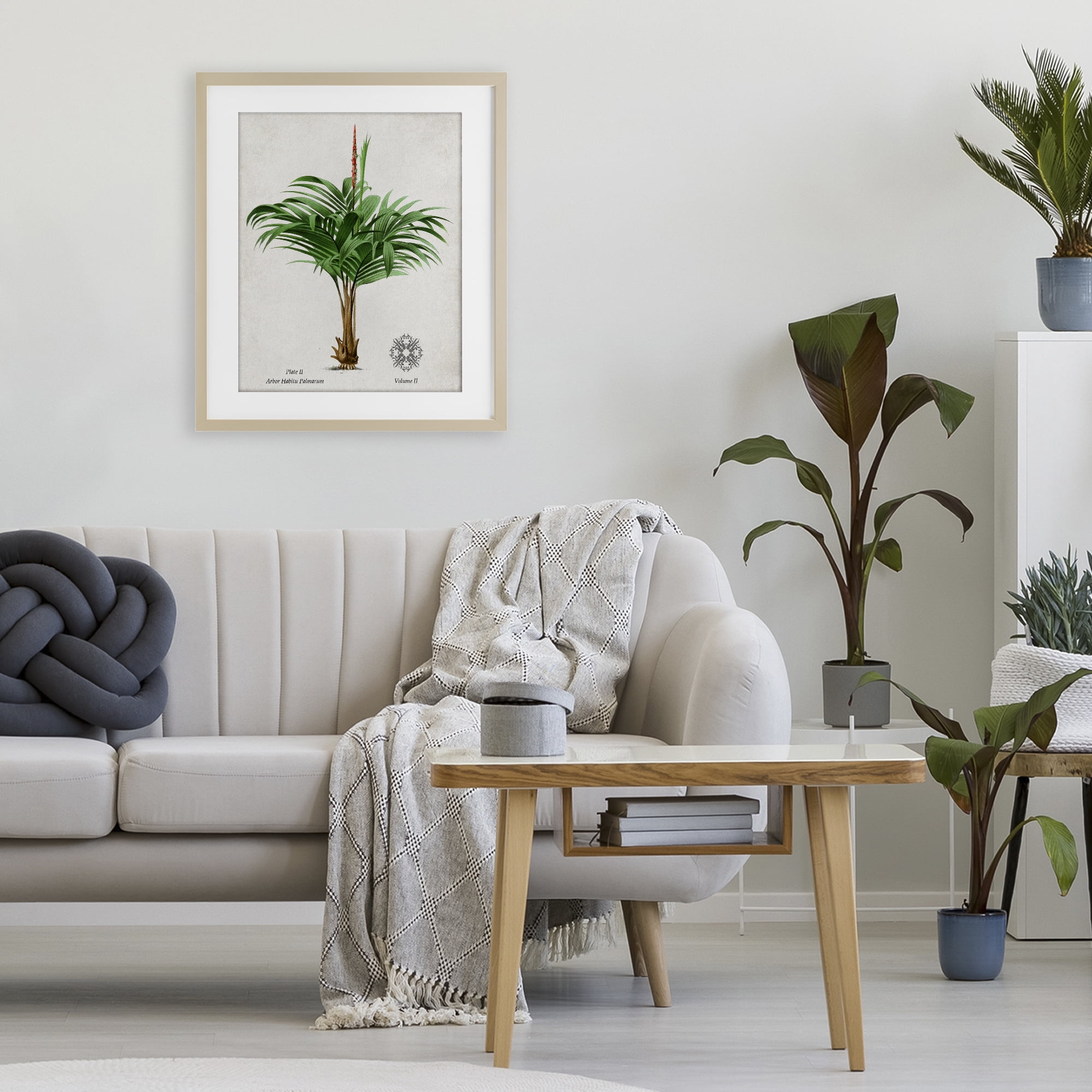 Stupell Industries Natural Palm Variety Study Birch Framed Print Under Glass, design by Val Rhodes