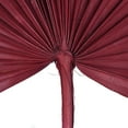 thumbnail image 3 of Vickerman Natural Botanicals 13.75 - 19.5" Deep Red Dried Palm Sun Spear, 12 per bag., 3 of 4