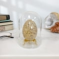 thumbnail image 2 of Plymor 3" x 4" Glass Display Dome Cloche (Clear Glass Tray Base), Pack of 2, 2 of 2