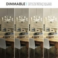 thumbnail image 2 of Luxrite 4W E12 Vintage Candelabra Dimmable LED Light Bulbs, 40W Equivalent 400 Lumens, 4000K Cool White, Blunt Tip, 12-Pack, 2 of 7