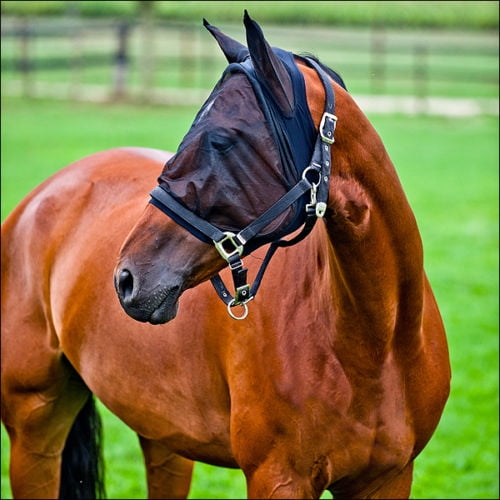 Airflow   FABRIC FLEECE MESH  FlyMask SPANDEX BLACK 73243P