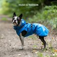 thumbnail image 2 of Chubasquero impermeable para perros HUGO & HUDSON, todos, 2 of 5