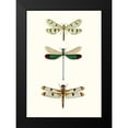 thumbnail image 2 of Blanchard 11x14 Black Modern Framed Museum Art Print Titled - Entomology Series VII, 2 of 5