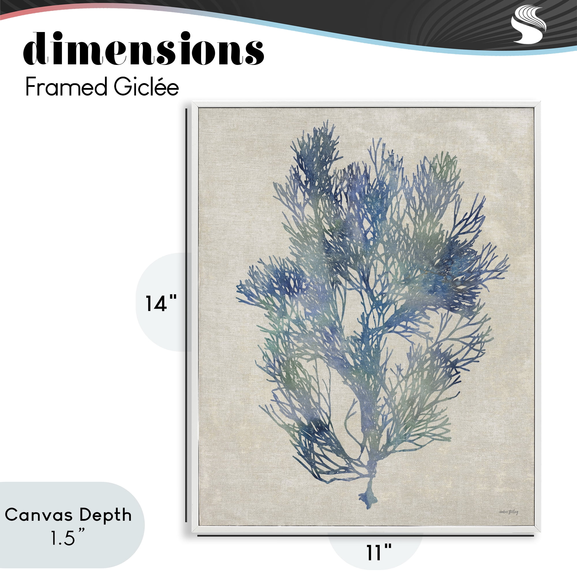 Stupell Industries Misty Blue Coral Study White Framed Giclee Art, design by Amber Sterling